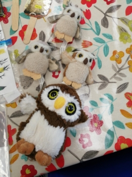 Teidí Owl Babies